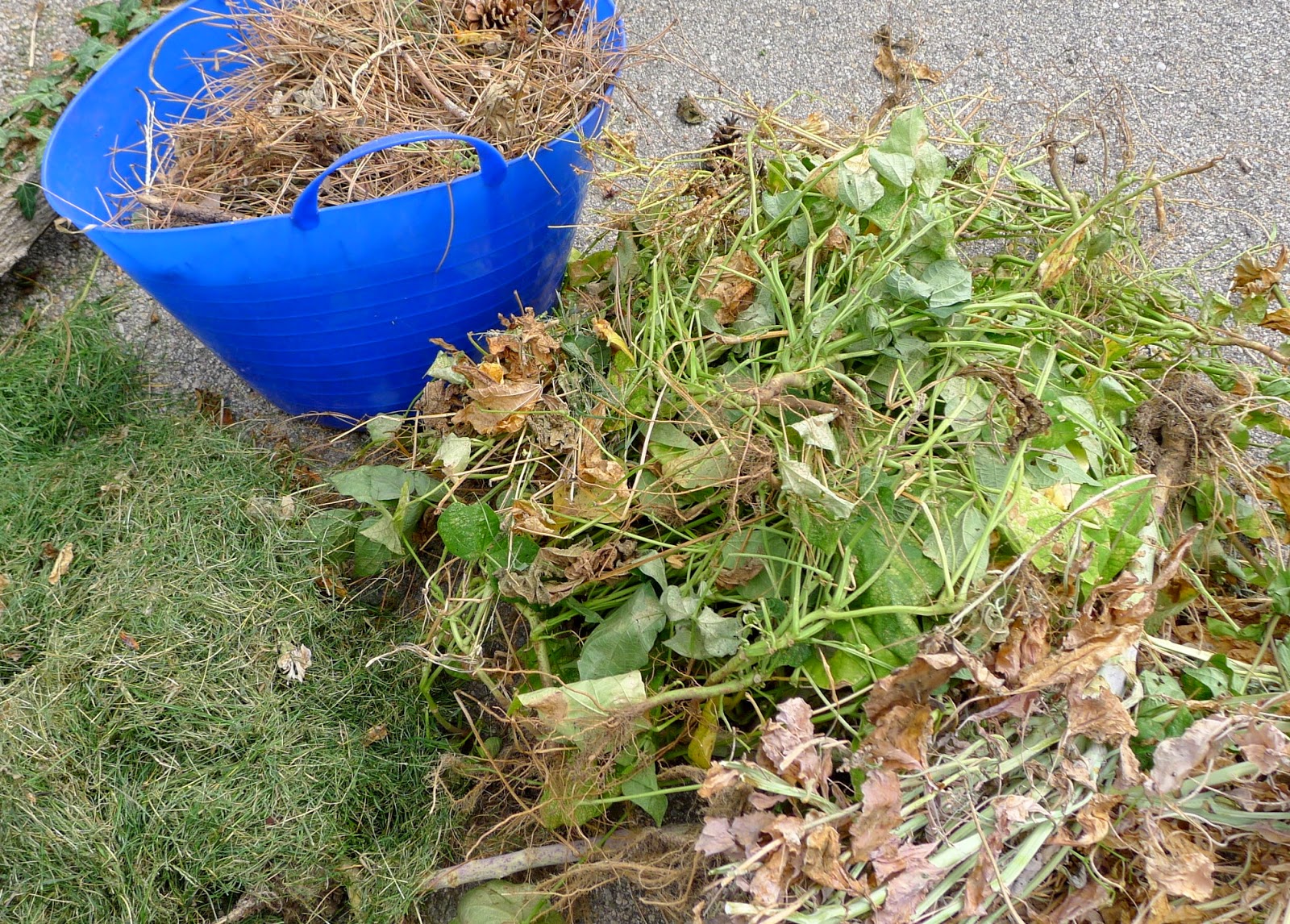Less Noise, More Green Fall Garden Clean Up compost, lawn bag or trash?