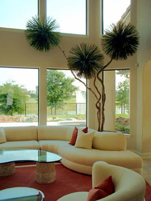 salas con plantas decoraci%25C3%25B3n sala planta 3 Decoración de Salas con Plantas y Jardineras