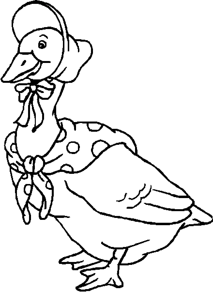 Best Birds Duck Colour Drawing HD Wallpaper