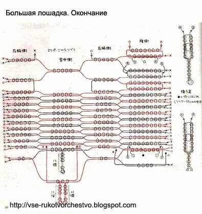 Прическа поля погба фото Прическа поля погба фото