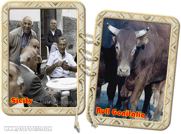 Bull Genitalia hangover cure Bull Genitalia hangover cure