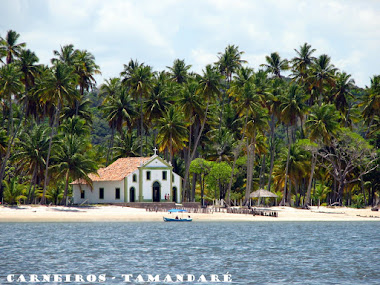 Tamandaré