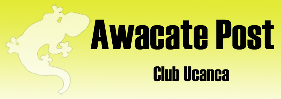 Club Ucanca. Awacatepost