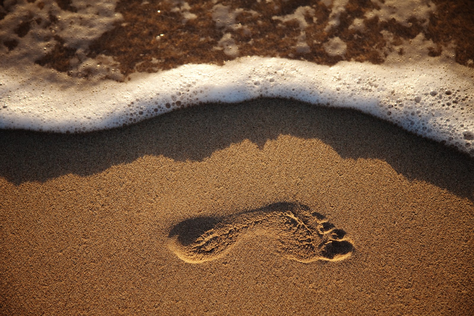 a journey called... footprint