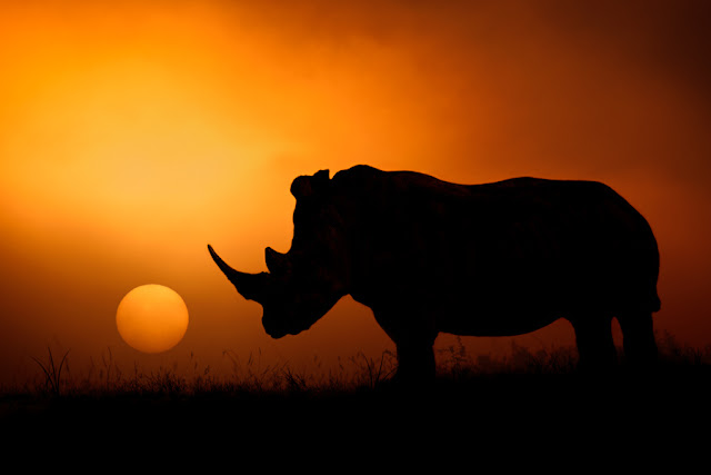 Fotografías de la Naturaleza