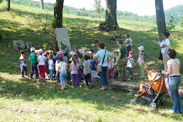 il bosco racconta - primavera 2011