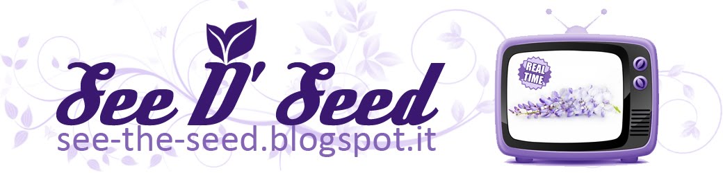 See D' Seed