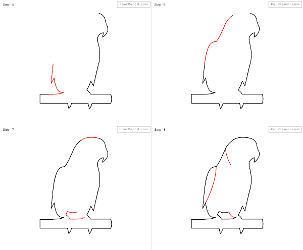 How to draw cartoon Parrot - slide 3