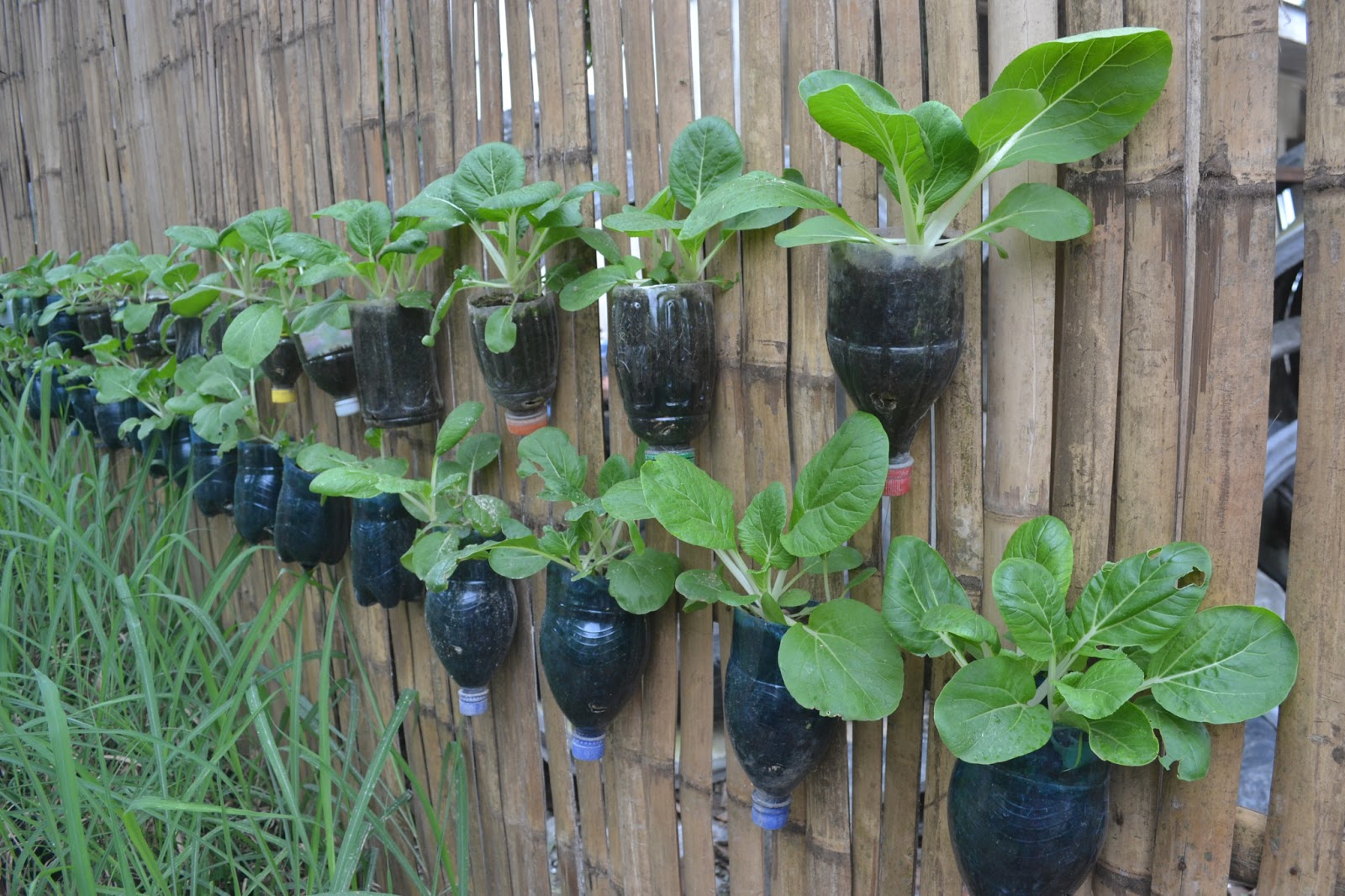 SIMPLY BUSINESS MAKING A SMALL INTEGRATED FARM