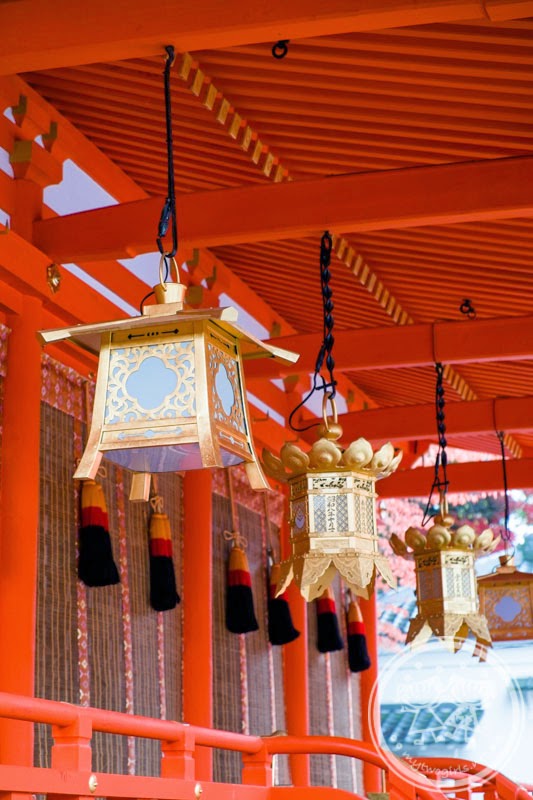 Lanterns at Fushimi Inari Shrine
