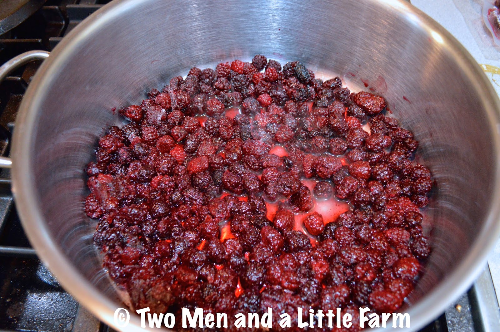 Two Men and a Little Farm DEWBERRY JAM MY FIRST ADVENTURE IN CANNING