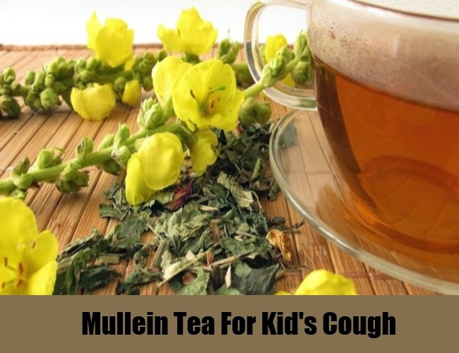Mullein Tea Benefits Healthy Tea 101