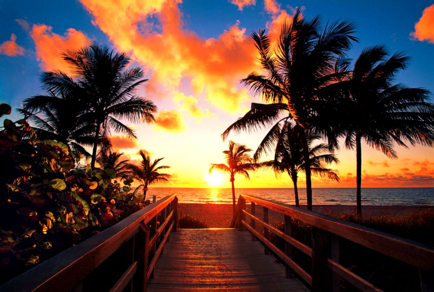 Tropical Sunrise Wallpaper HD Wallpapers Tropical Sunrise Wallpaper HD Wallpapers
