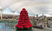 If you are a long time reader of my blog the poinsettia tree above might be . (img )