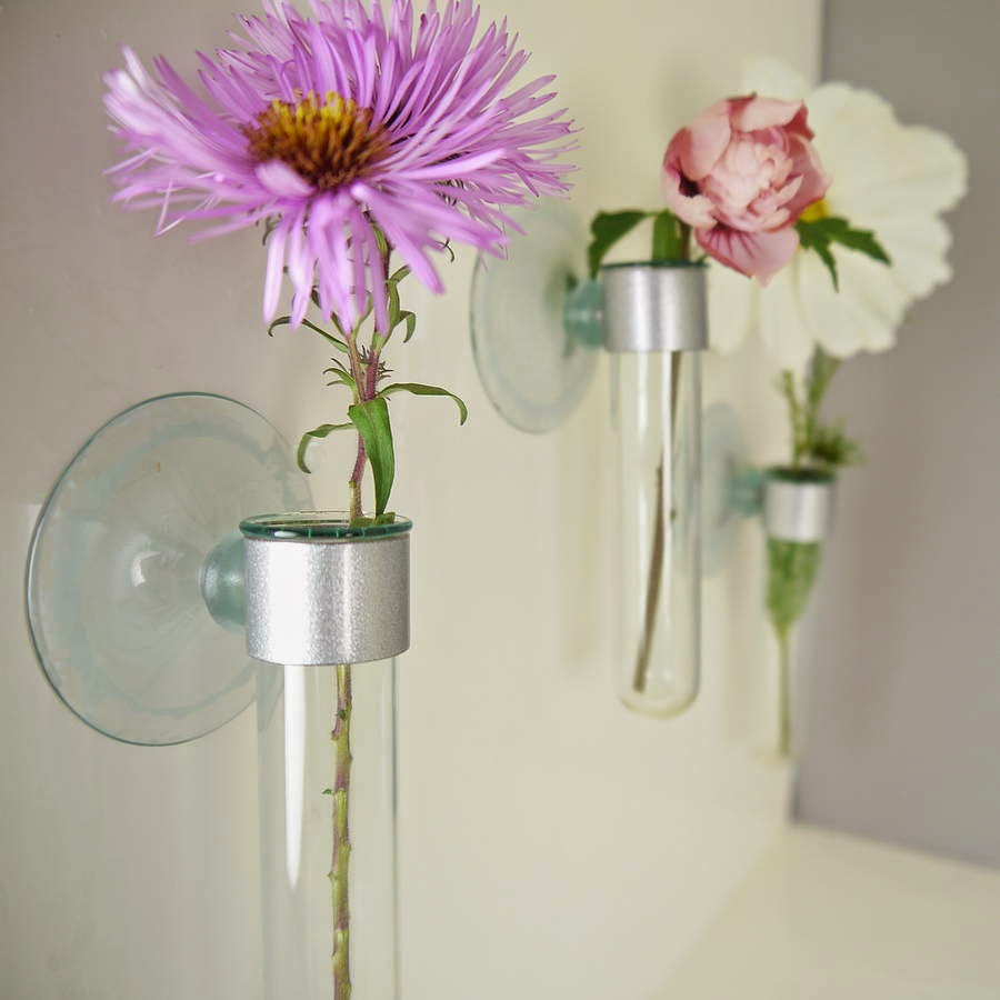 How to Recycle Test Tube Flower Vases