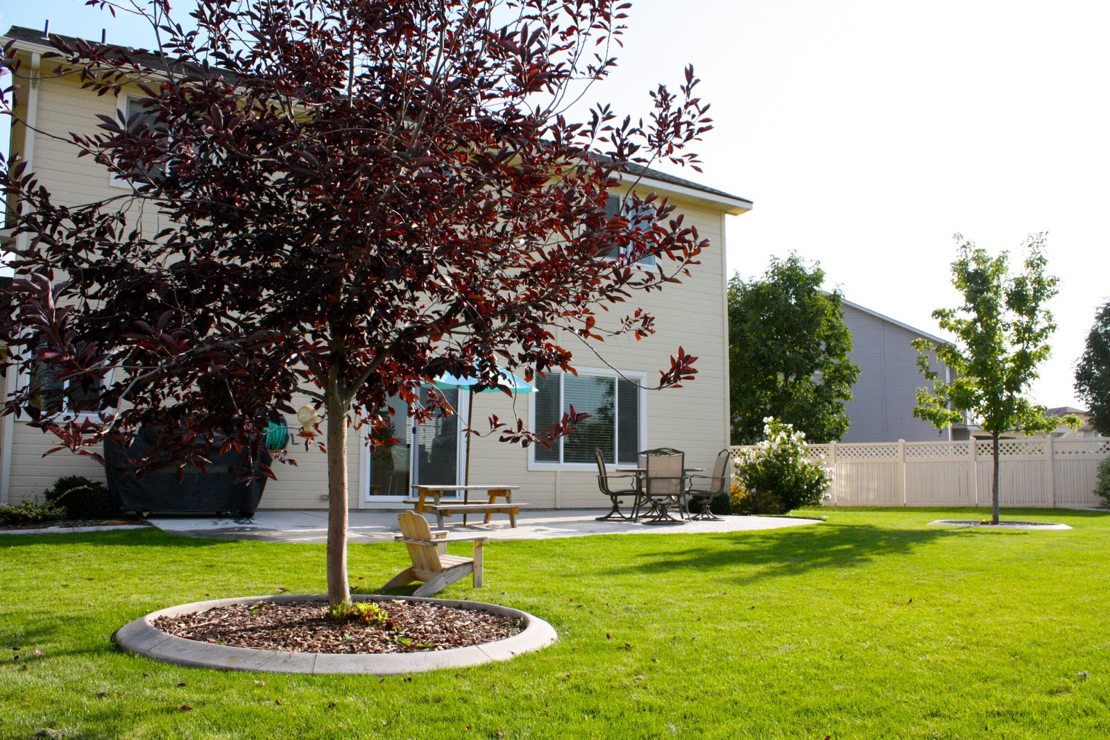 4 Bedroom House in Meridian at Bridgetower