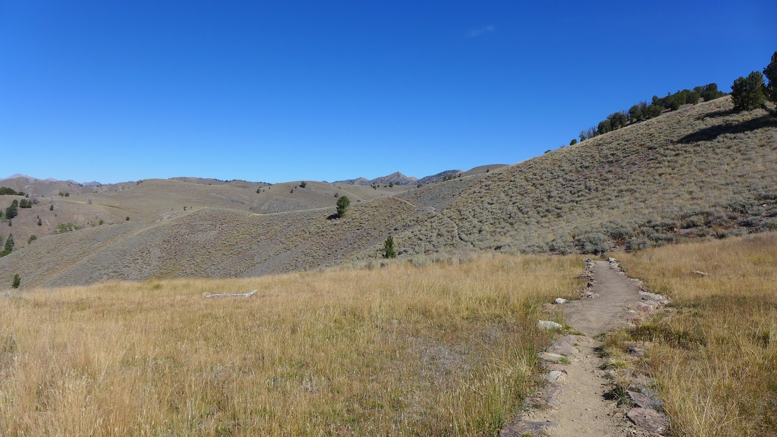 Hill Junkie Pioneer Cabin