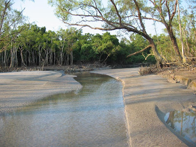 (Bangladesh and West Bengal  - India) – Sundarbans
