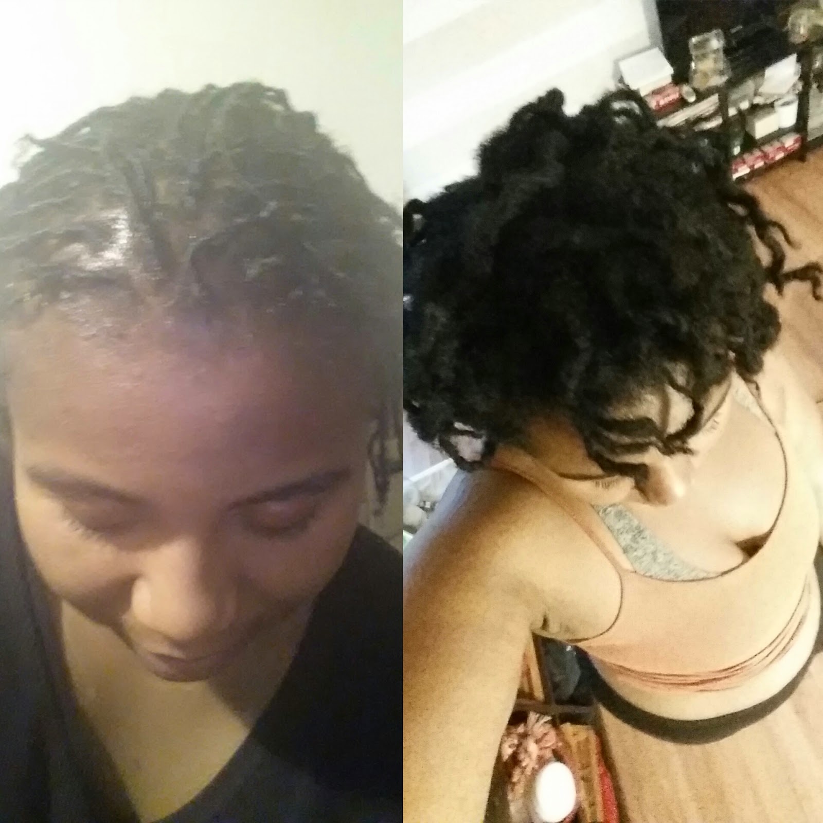 Naturalgmonet S Blog About My Locs Pt2