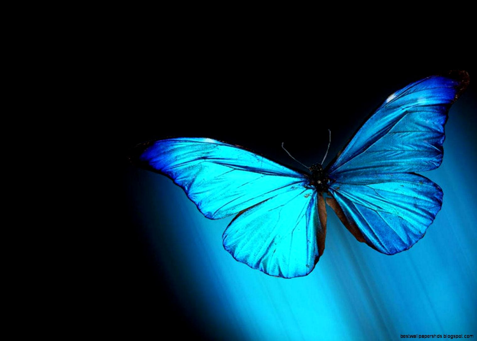 Backgrounds Live Wallpapers For PC Group 66 Backgrounds Live Wallpapers For PC Group 66