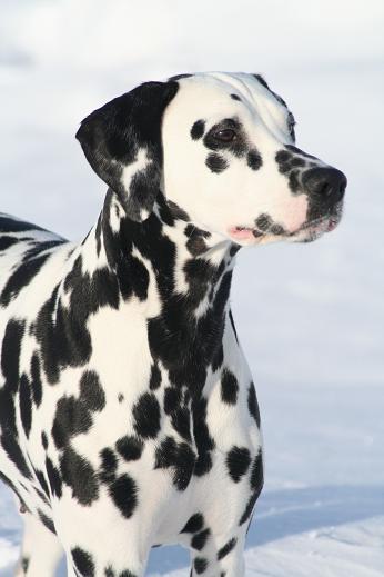 Aiheeseen liittyvä kuva