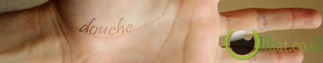 Palm Reading (Membaca Garis Tangan) Palm Reading (Membaca Garis Tangan)