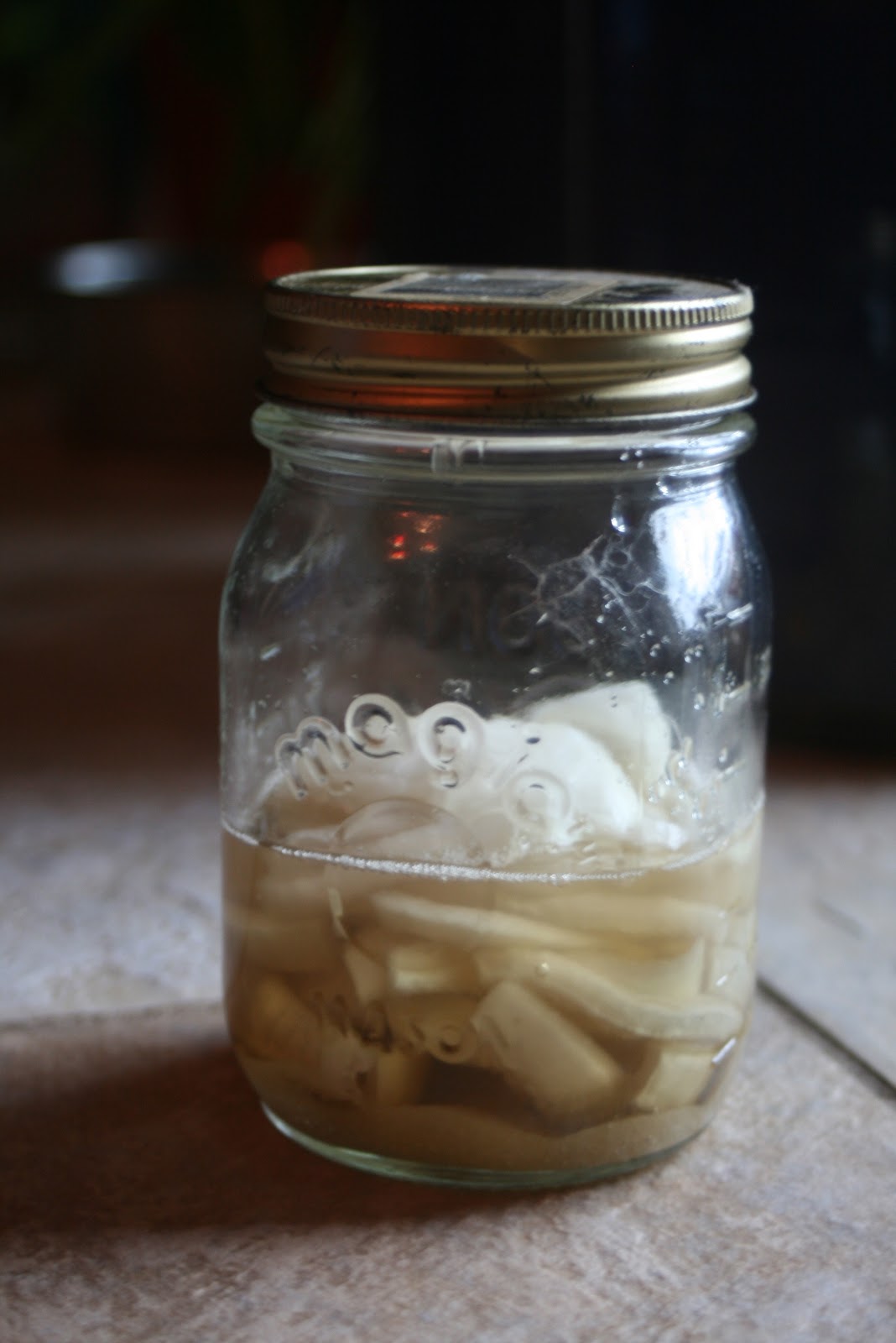 The Little Backyard Farm Onion syrup for the coughing days