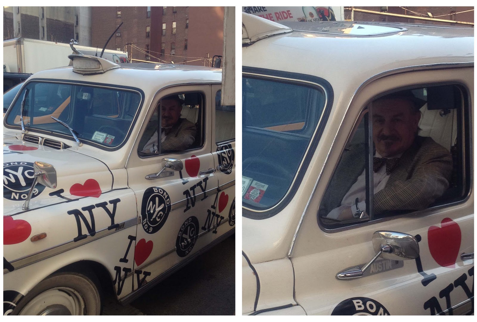 The Willows Home & Garden more from new york!