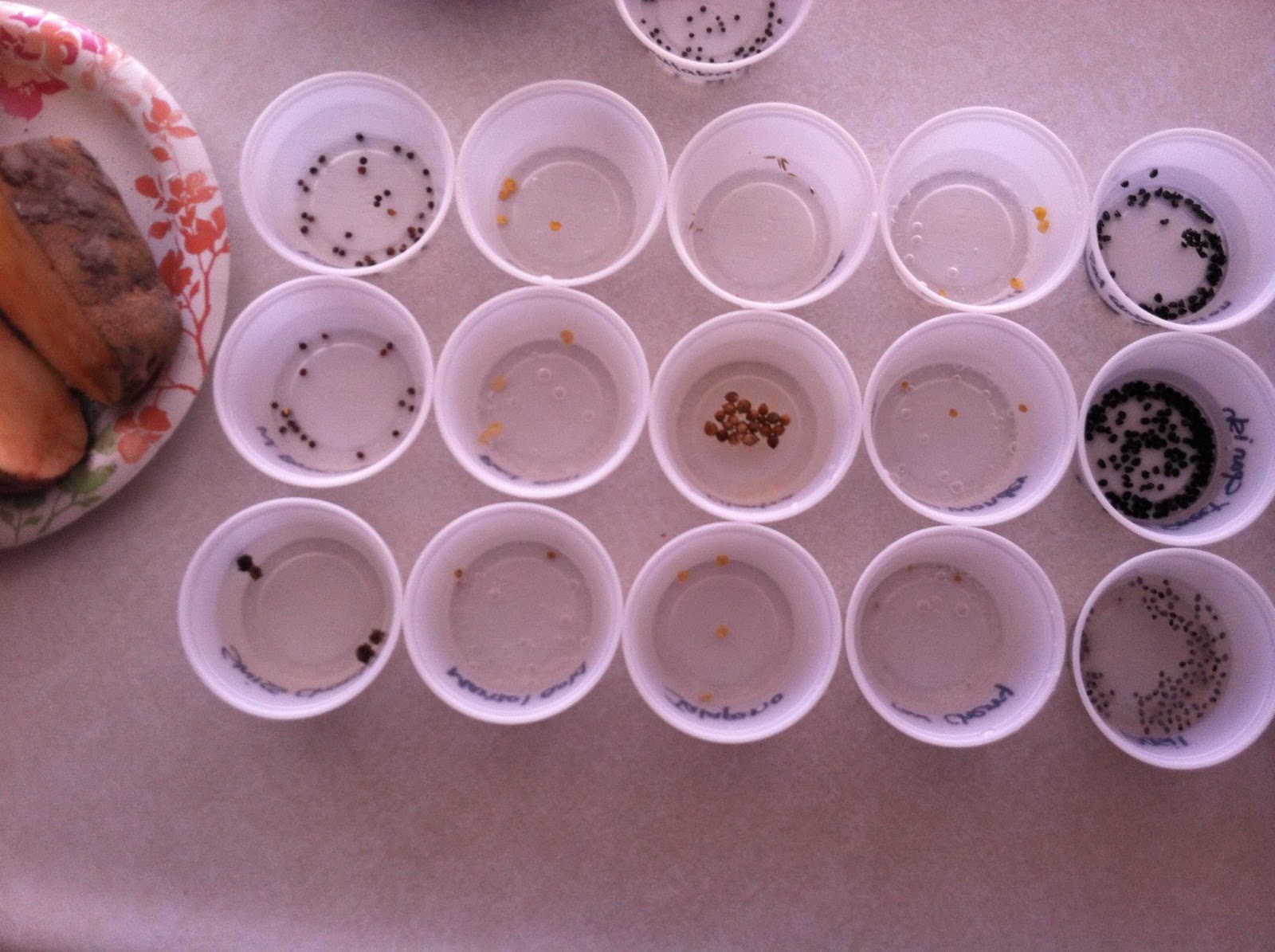 my family prepared Soaking Seeds Before Planting