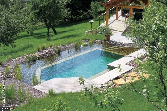 pool1cm.jpg 540×360 pixels | Natural swimming pools, Swimming pools