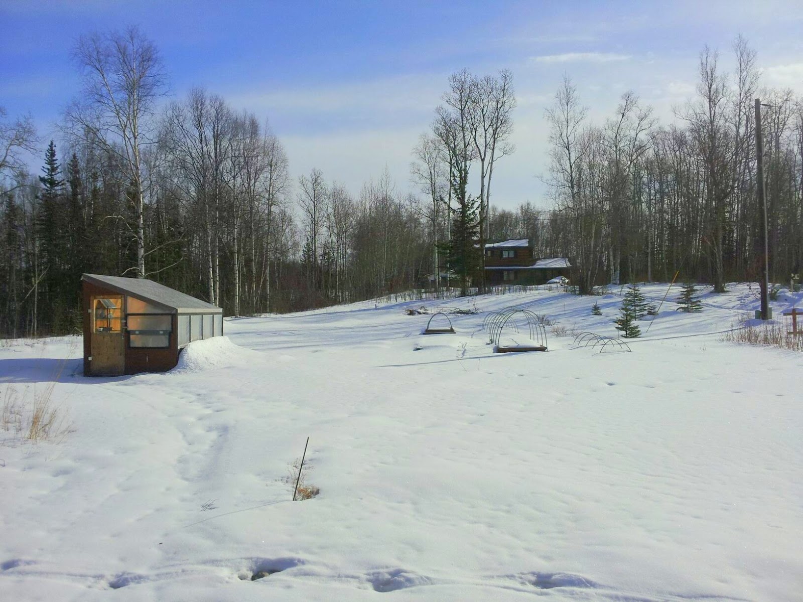 Wasilla Alaska Garden Adventures Spring in Wasilla