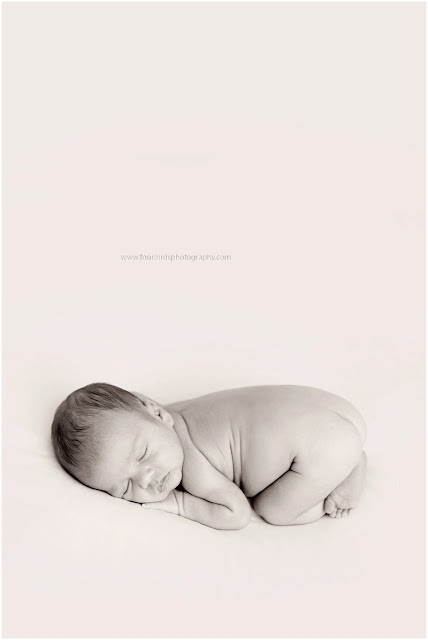 orlando newborn photography