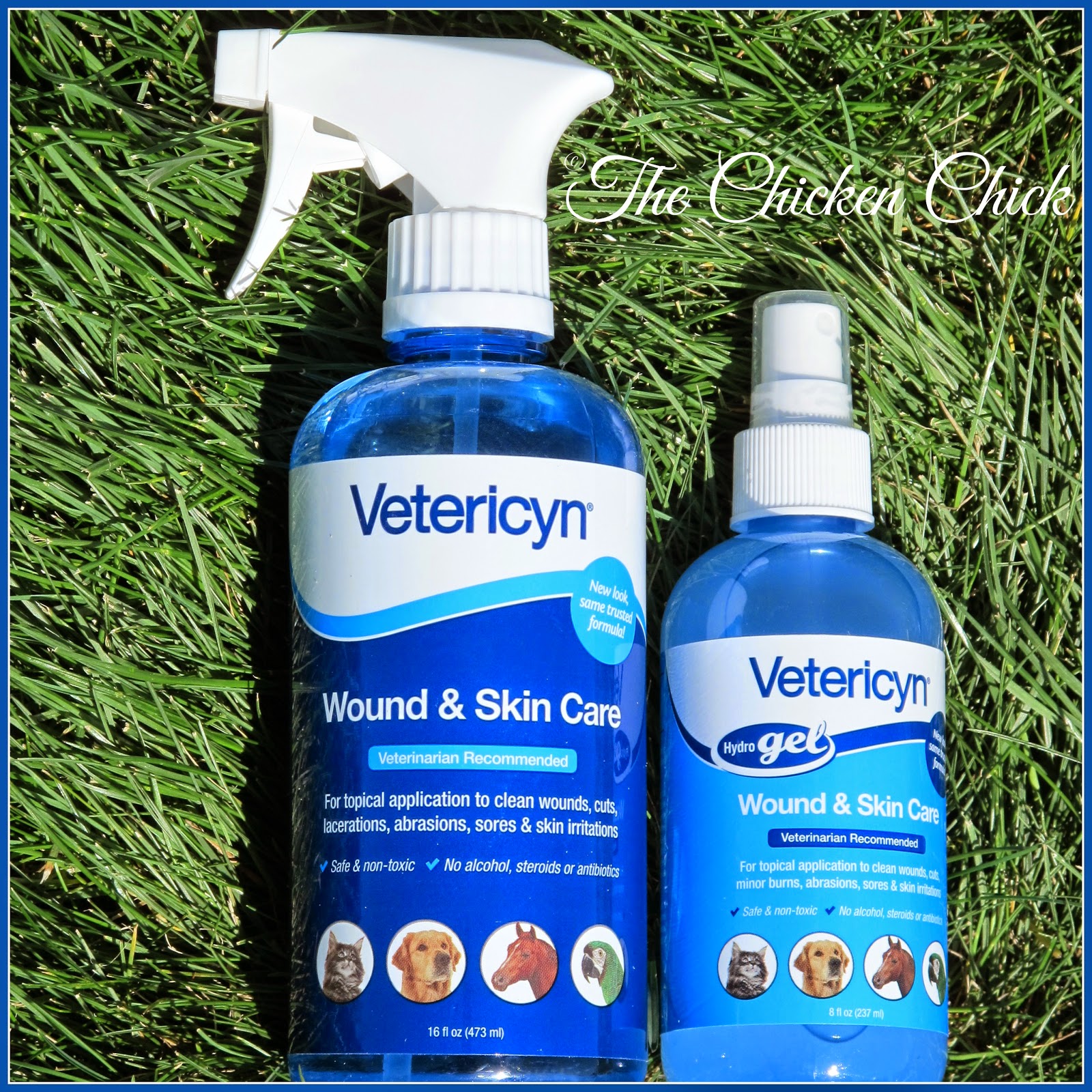 fly strike treatment for rabbits fly strike treatment for rabbits
