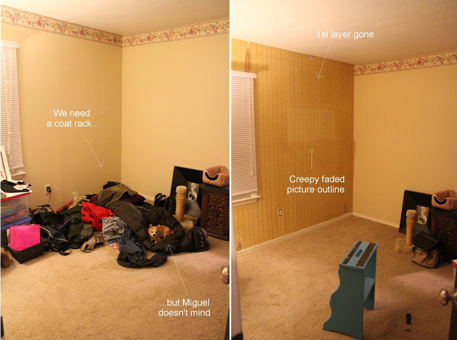 Plies Wallpaper | New hd wallon