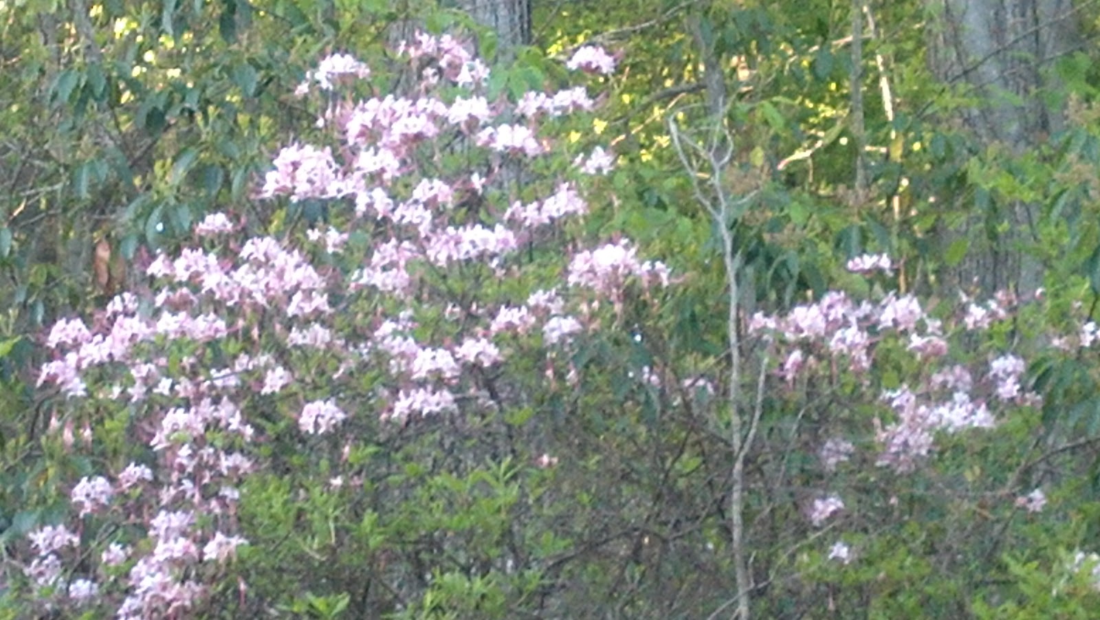 The Next Stage Women And Retirement The Delaware Valley In Mid