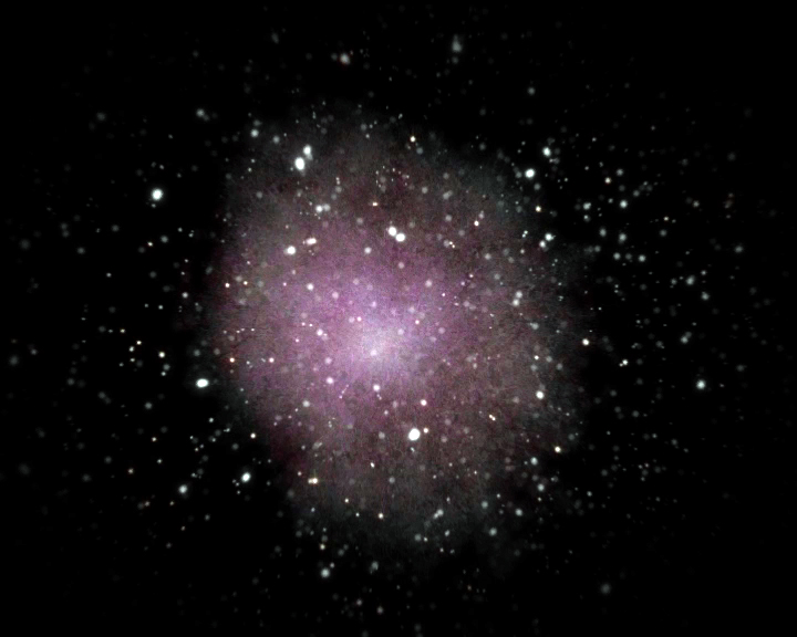 Musicology Now August 2014