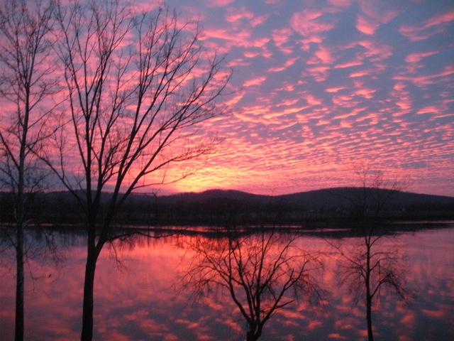 Explore Southern Indiana Summer Fun At Patoka Lake