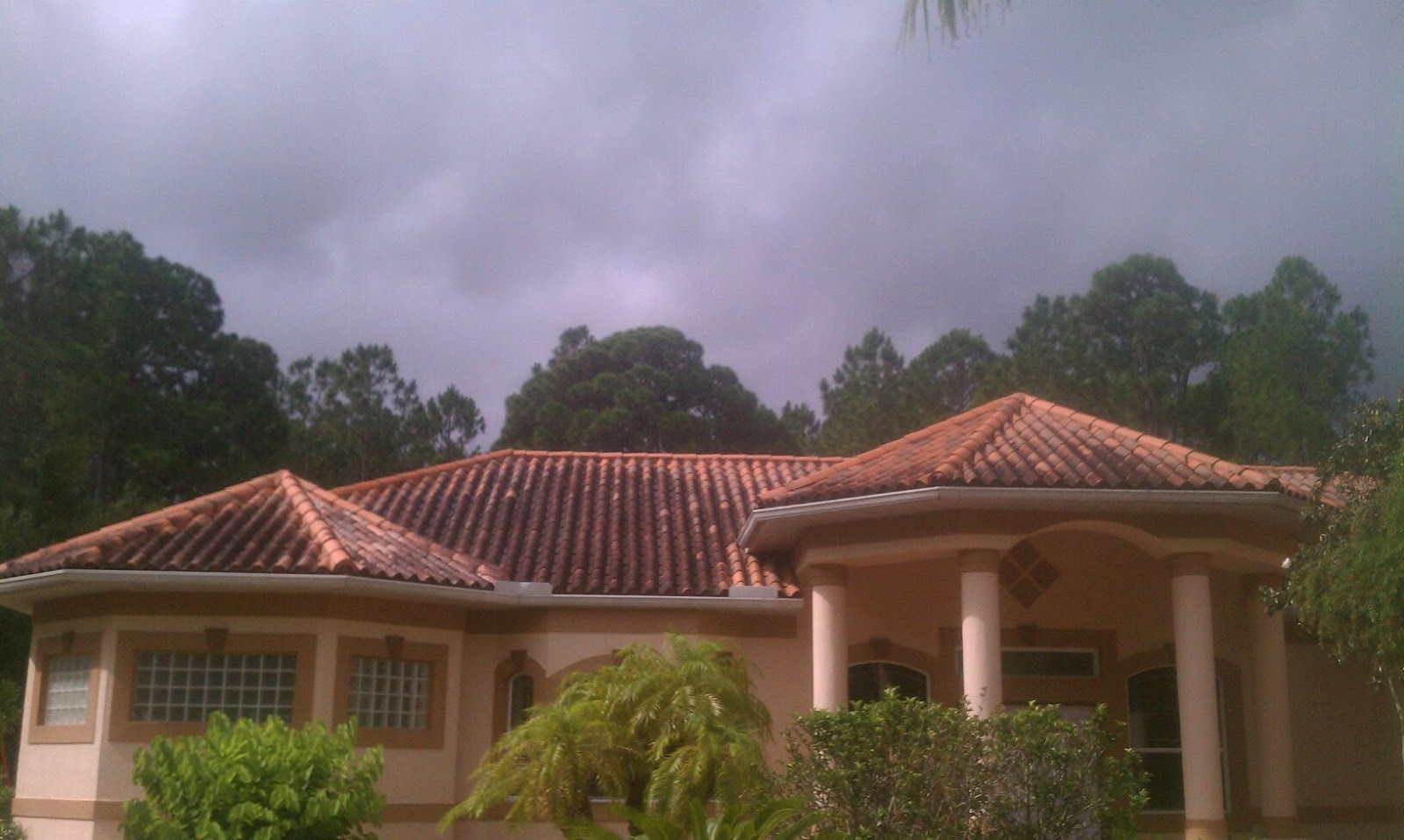 Port Charlotte Roof Cleaning Soft Wash Shingle Tile Metal Roof Cleaning A 1 Pressure Washing Roof Cleaning 941 815 8454 Www Sarasotacleaningsolutions Com