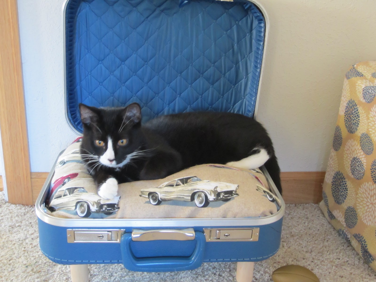 Confessions of a Punk Rock Farmgirl Suitcase Cat Beds