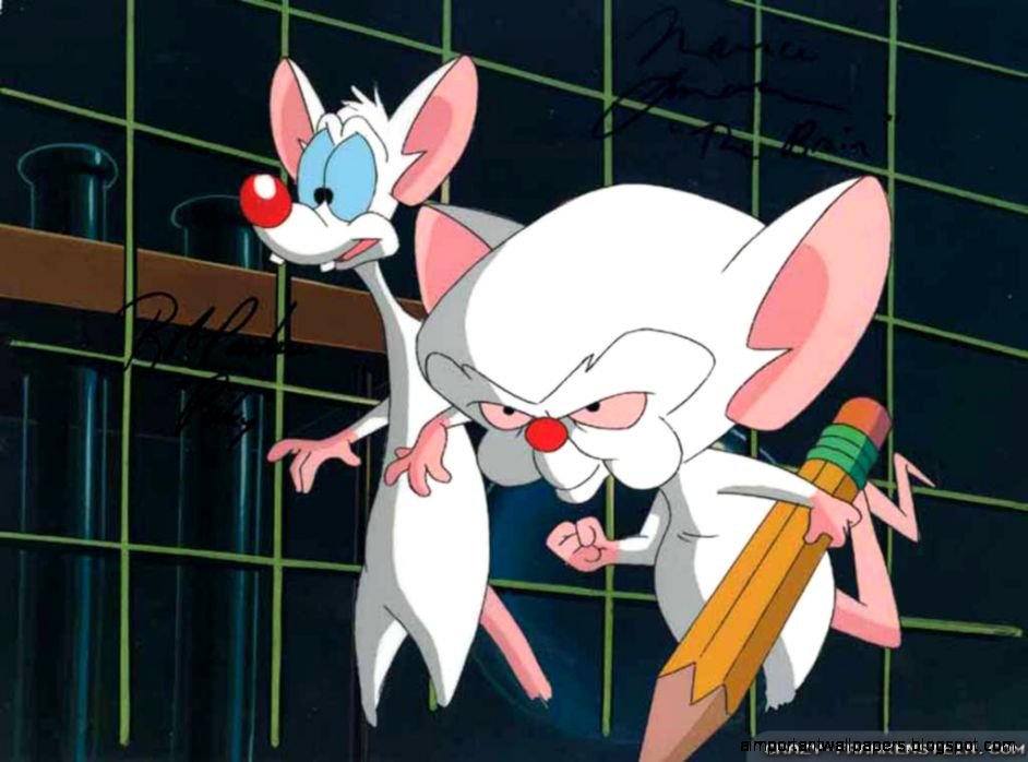 Pinky and The Brain wallpapers Crazy Frankenstein Pinky and The Brain wallpapers Crazy Frankenstein