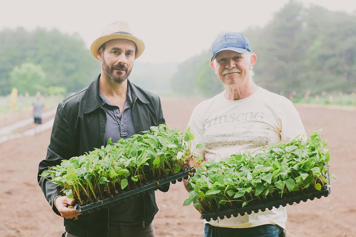 Relax with Farmacy Gel Masks Fashion of Philly