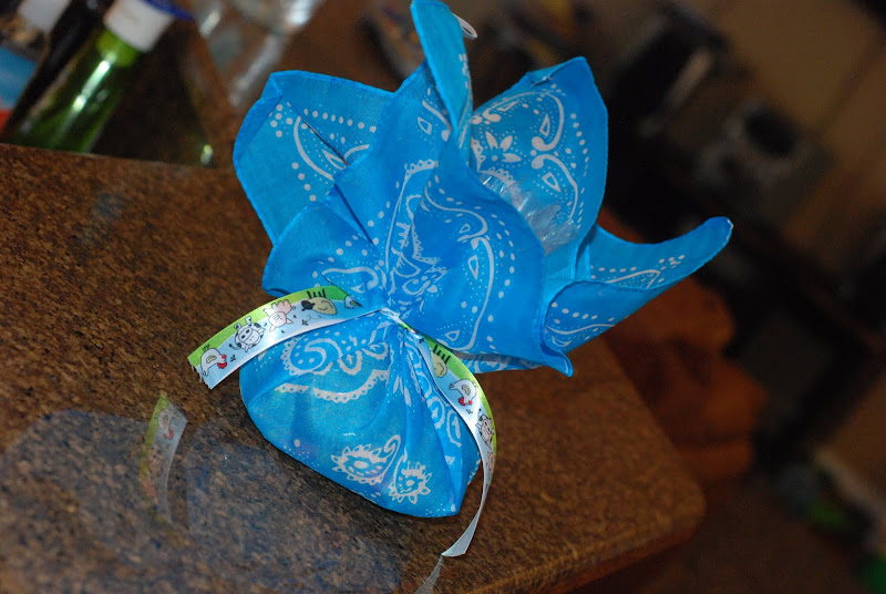 Reveal Brody's Barnyard Birthday Bash!!!