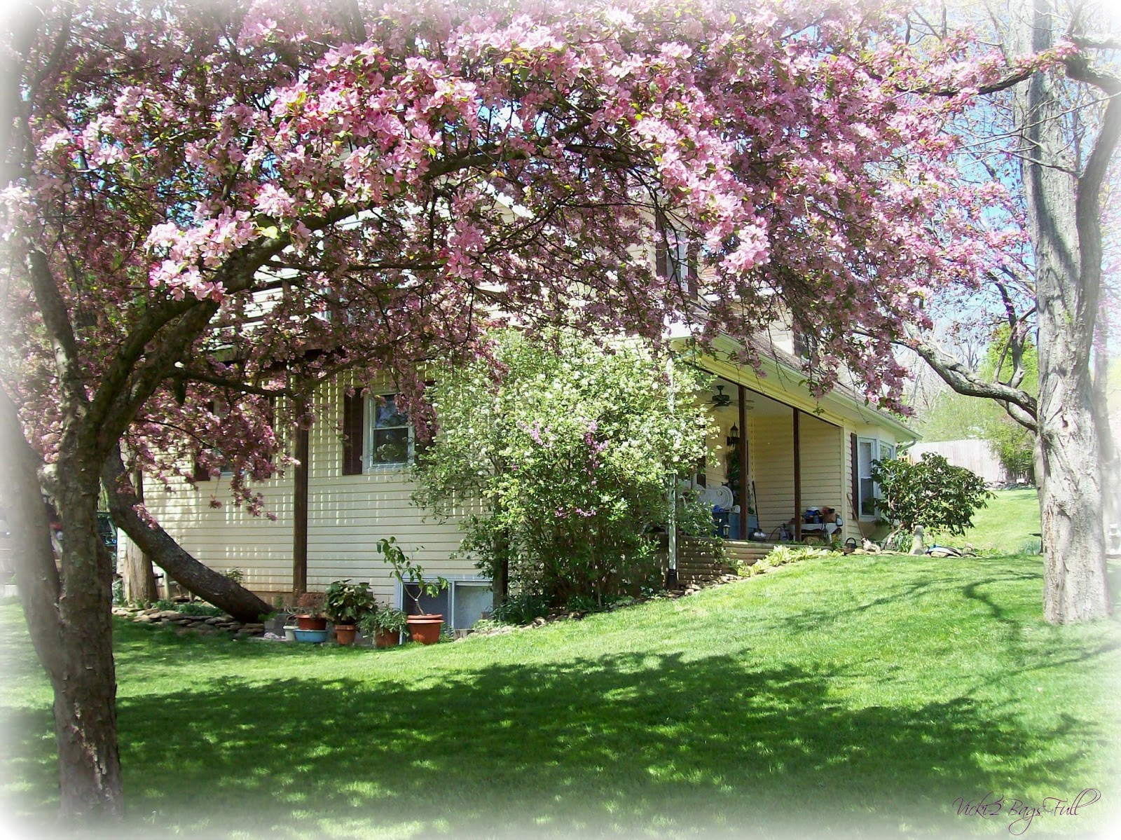 spring days of my life spring days of my life