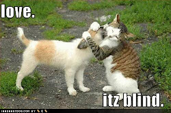 More cat hugs!