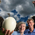 Largest Egg From a Bird Living "Guinness World Records"