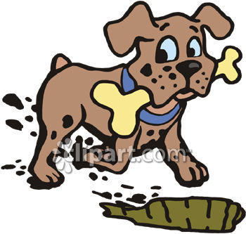 Dog Burying Food Dog Burying Food