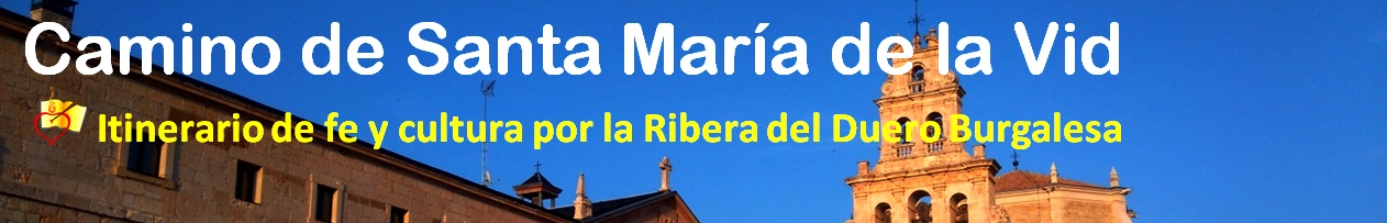 Camino de Santa María de la Vid