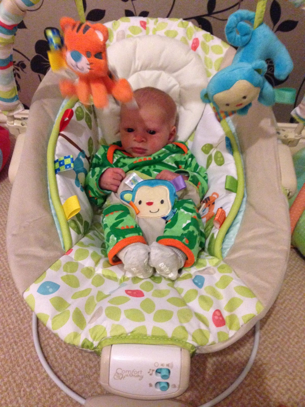 comfort & harmony monkey bouncer