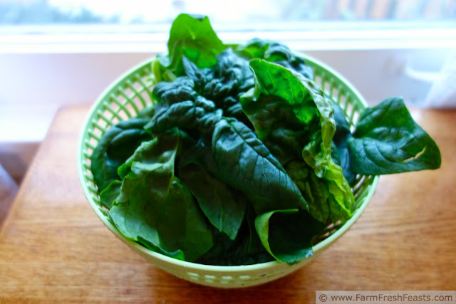 http://www.farmfreshfeasts.com/2013/01/spinach-sausage-alfredo-tortellini.html