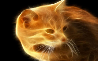 Beautiful fire cat wallpaper